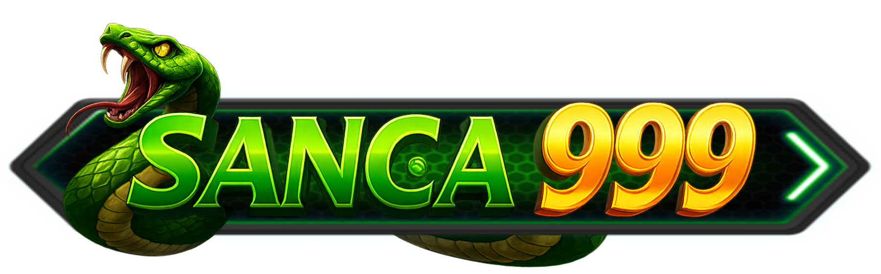 Sanca999